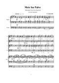 Meie Isa (Отче наш на эстонском языке) вариант для хора с органом